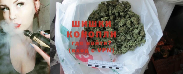 ПСИЛОЦИБИНОВЫЕ ГРИБЫ Новозыбков