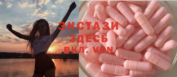 дмт Дубна