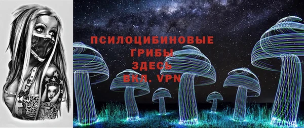 дмт Нея