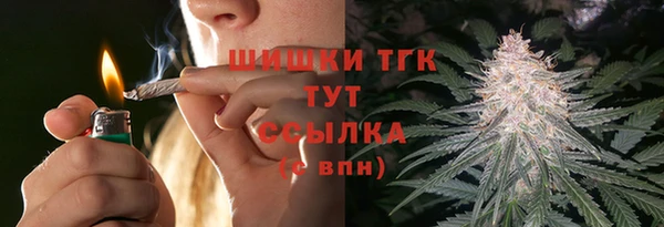 эйфоретик Новодвинск