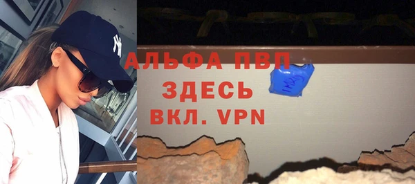 ПСИЛОЦИБИНОВЫЕ ГРИБЫ Новозыбков