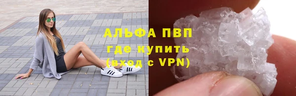 ПСИЛОЦИБИНОВЫЕ ГРИБЫ Новозыбков