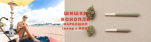 ПСИЛОЦИБИНОВЫЕ ГРИБЫ Новозыбков