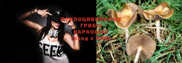 PSILOCYBIN Нефтекумск